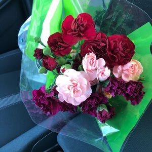 Meet your Posher, Marlene